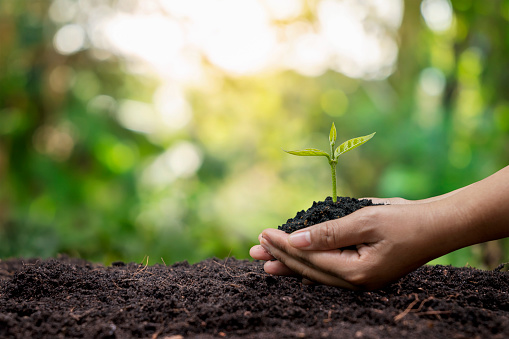 Gabrielle Buchrain, Ganzheitliche Therapie